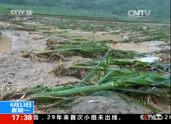 高温、暴雨、洪涝，农作物如何向逆而生？