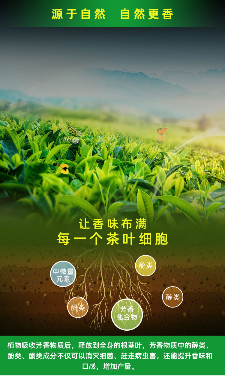 精准营养革命：中翼鼎东水溶肥的有机农业新范式
